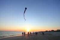 The Beach Is Calling