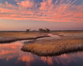 A Nature Lover’s Dream Florida's Nature Coast on the Gulf side of the state