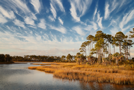 Nature Coast State Trail The Rails to Trails Program