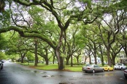 Best Places to Retire in Georgia - WaterWays Township - Savannah GA